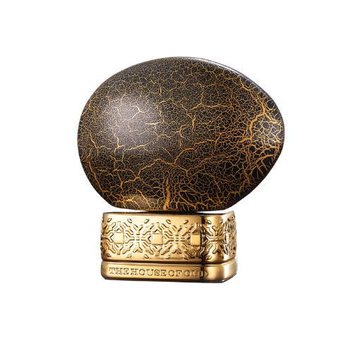 ecomposer- {{ BEYOND }}