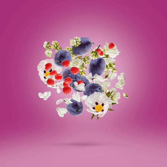 ecomposer-
