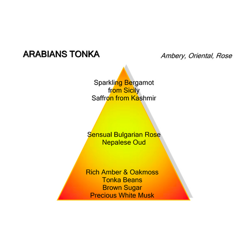ARABIANS TONKA