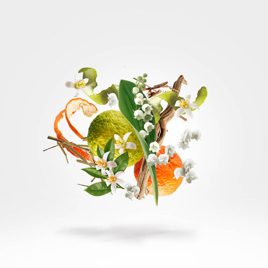 ecomposer- {{ BEYOND }}