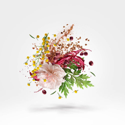 ecomposer-