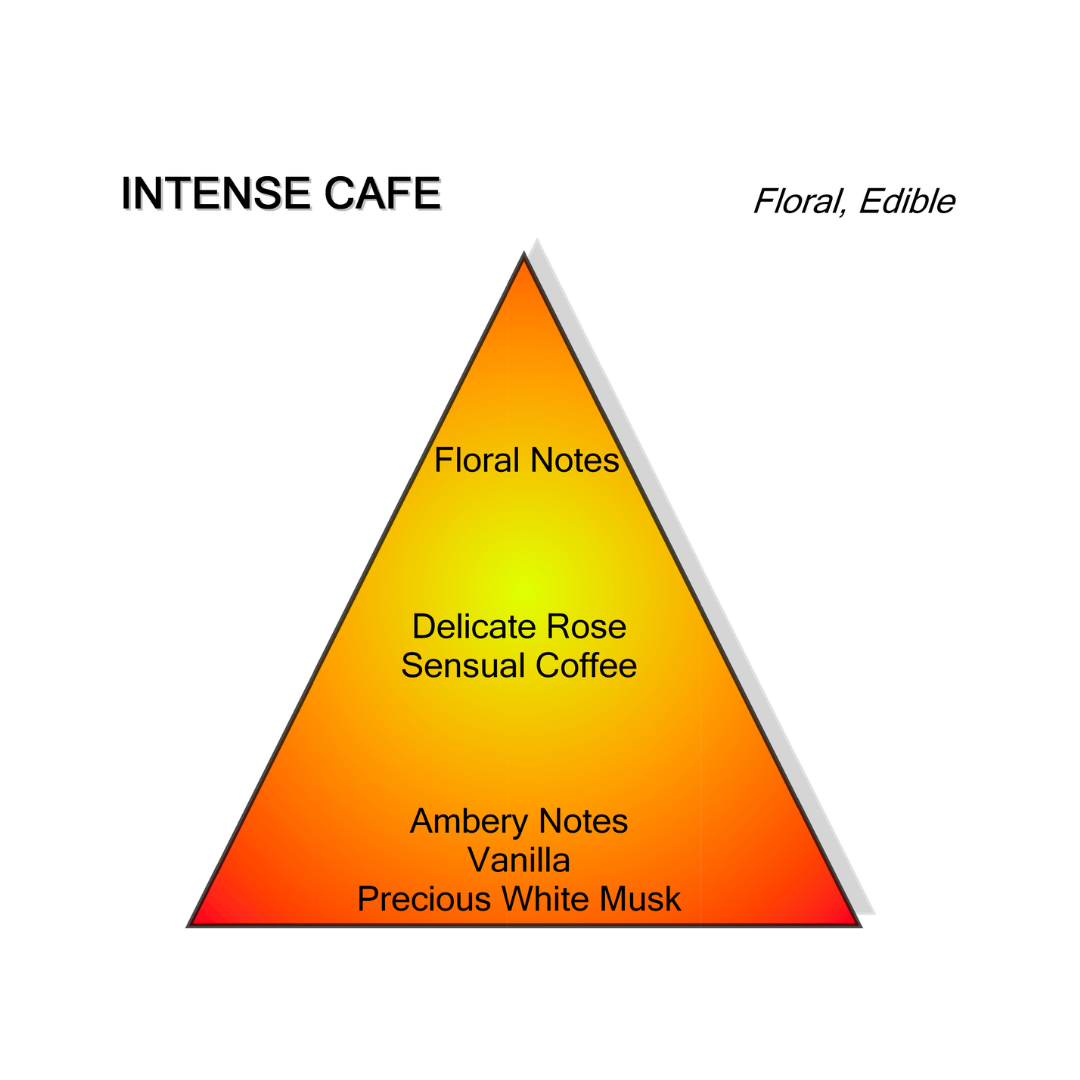 INTENSE CAFE