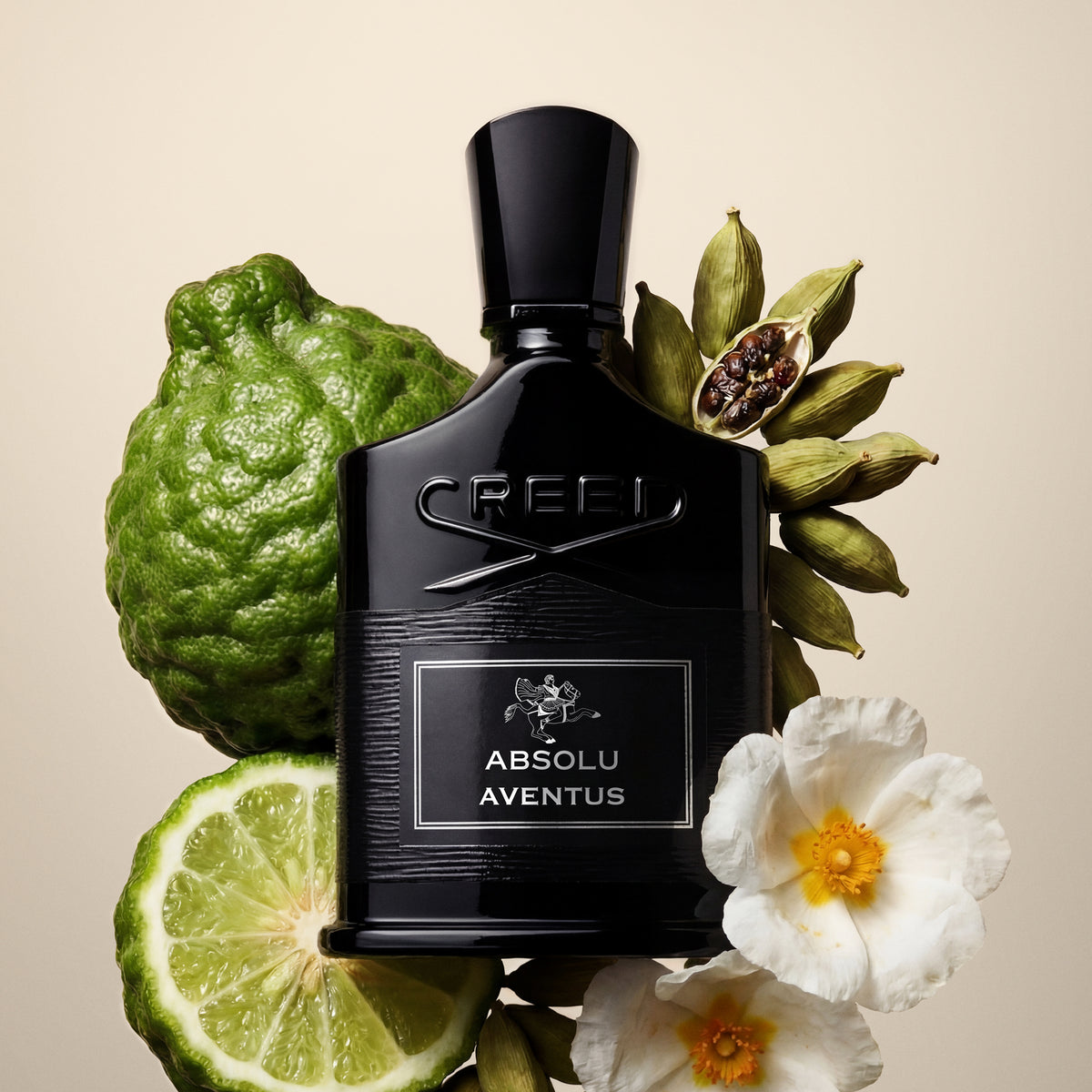ABSOLU AVENTUS EDP