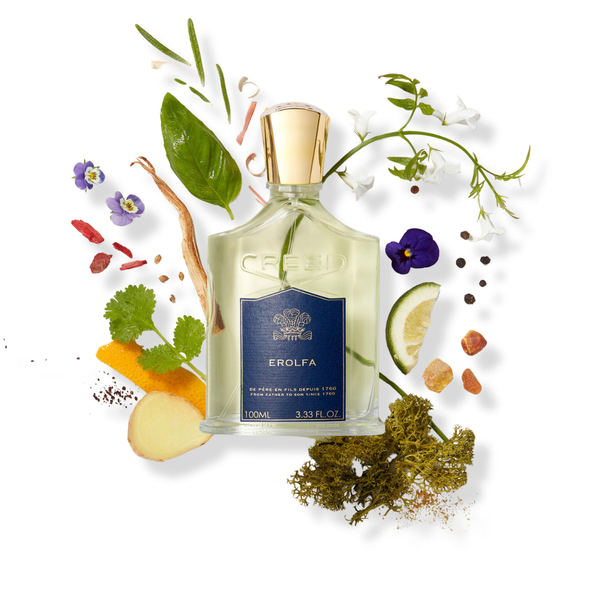 CREED EROLFA EDP