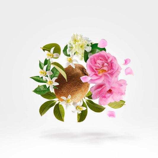 ecomposer-