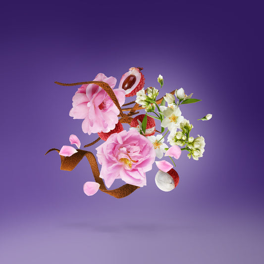 ecomposer-