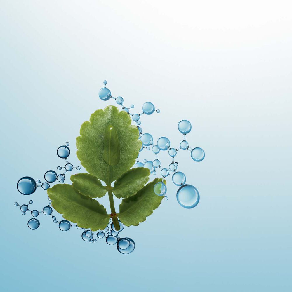 ecomposer-