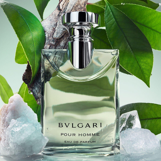 POUR HOMME - EDP