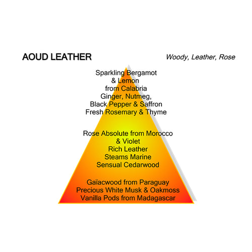 AOUD LEATHER