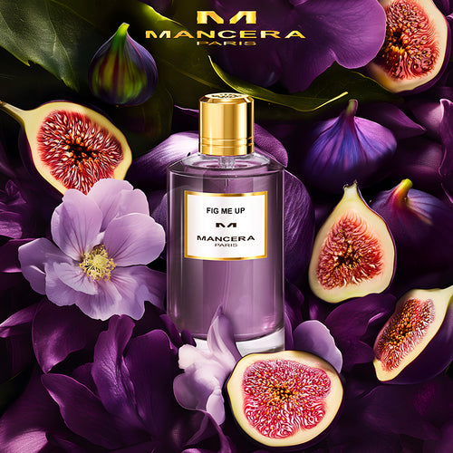 FIG ME UP
