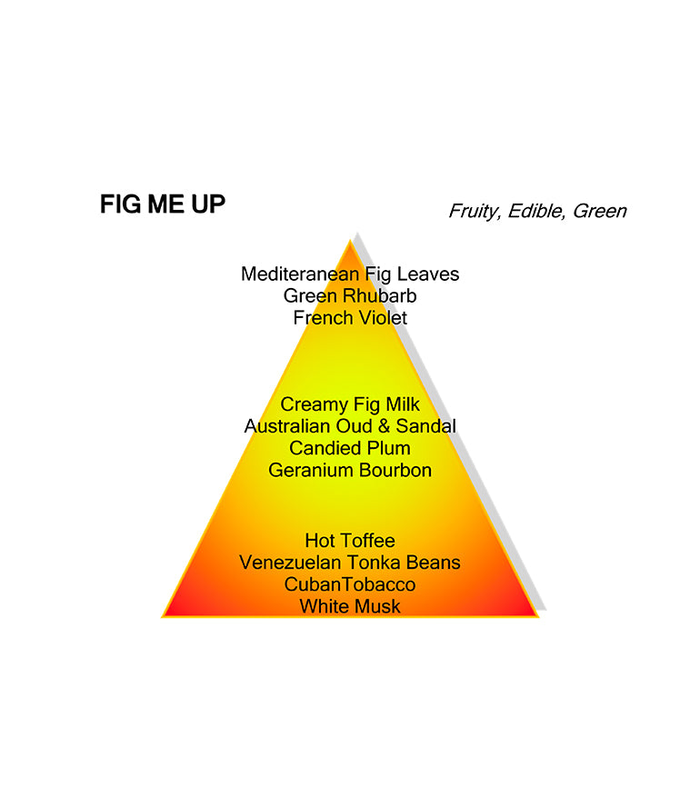 FIG ME UP