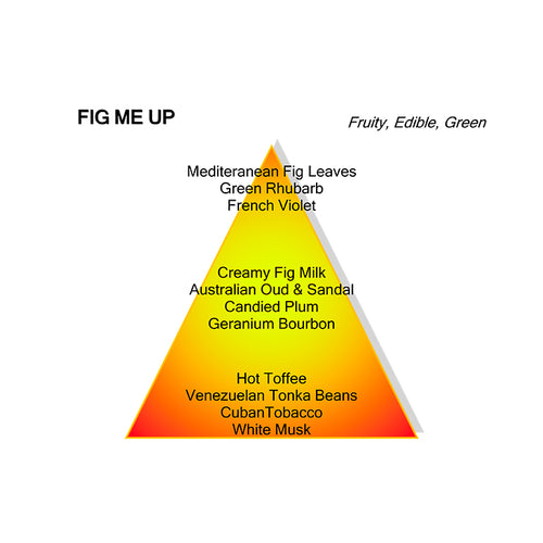 FIG ME UP