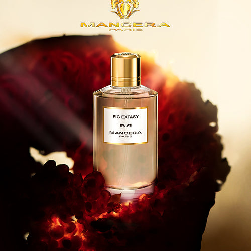 FIG EXTASY