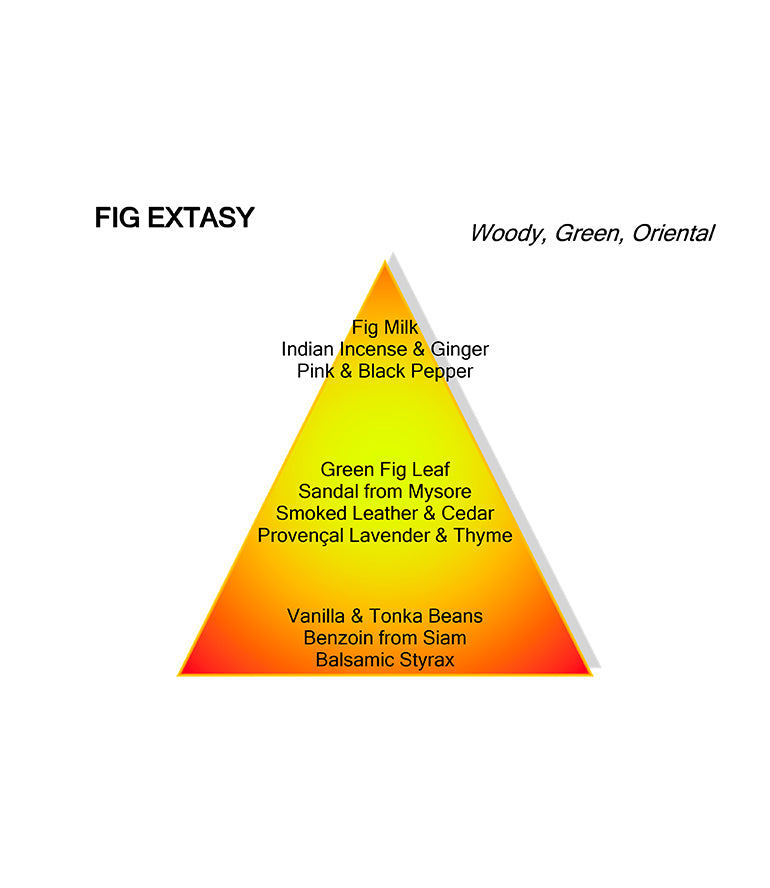 FIG EXTASY