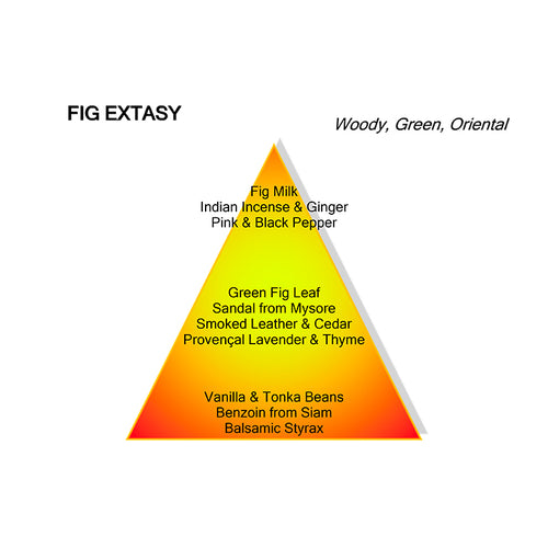FIG EXTASY