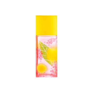 ecomposer- 100ml
