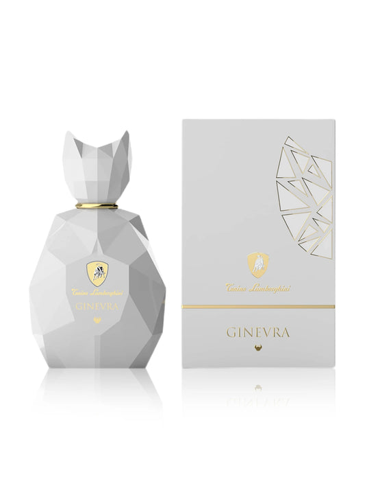 ecomposer- {{ BEYOND }}