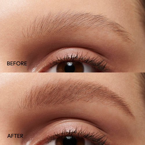 ecomposer-shade-lingering