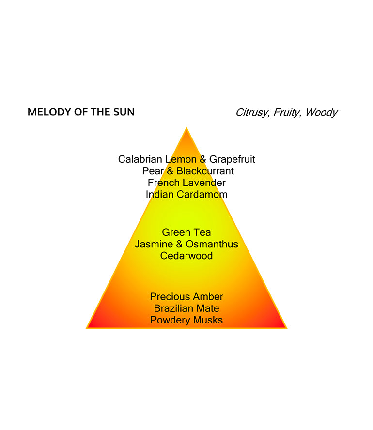 MELODY OF THE SUN
