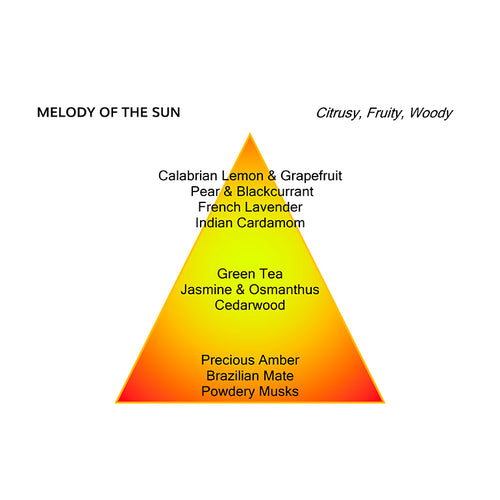 MELODY OF THE SUN
