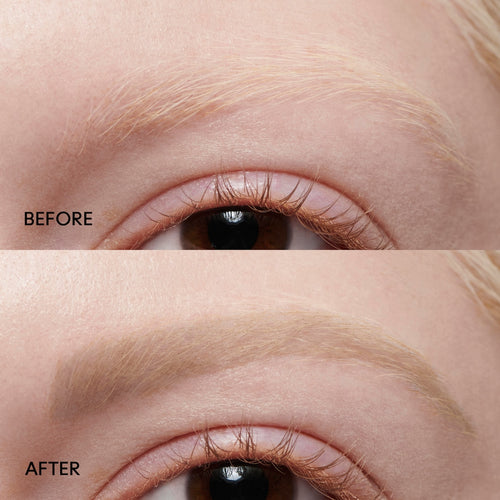 ecomposer-shade-omega