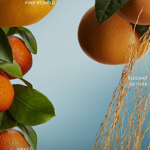 ecomposer-