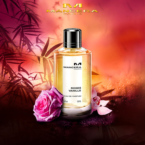 ROSES VANILLE