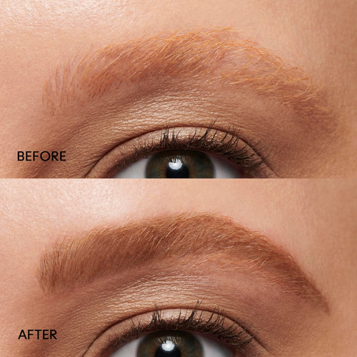 ecomposer-shade-strut