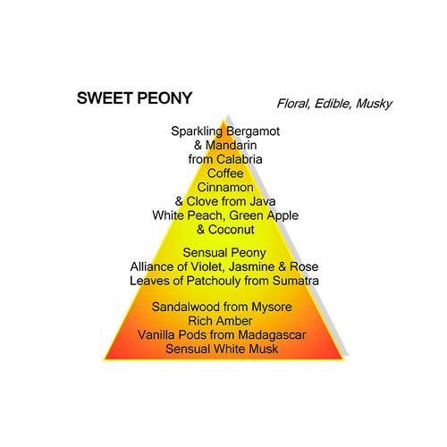 SWEET PEONY