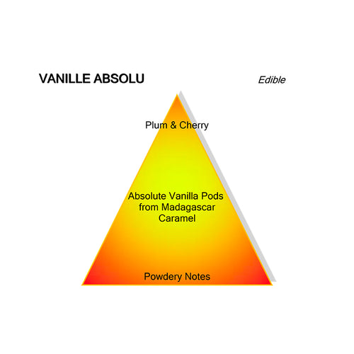 VANILLA ABSOLU