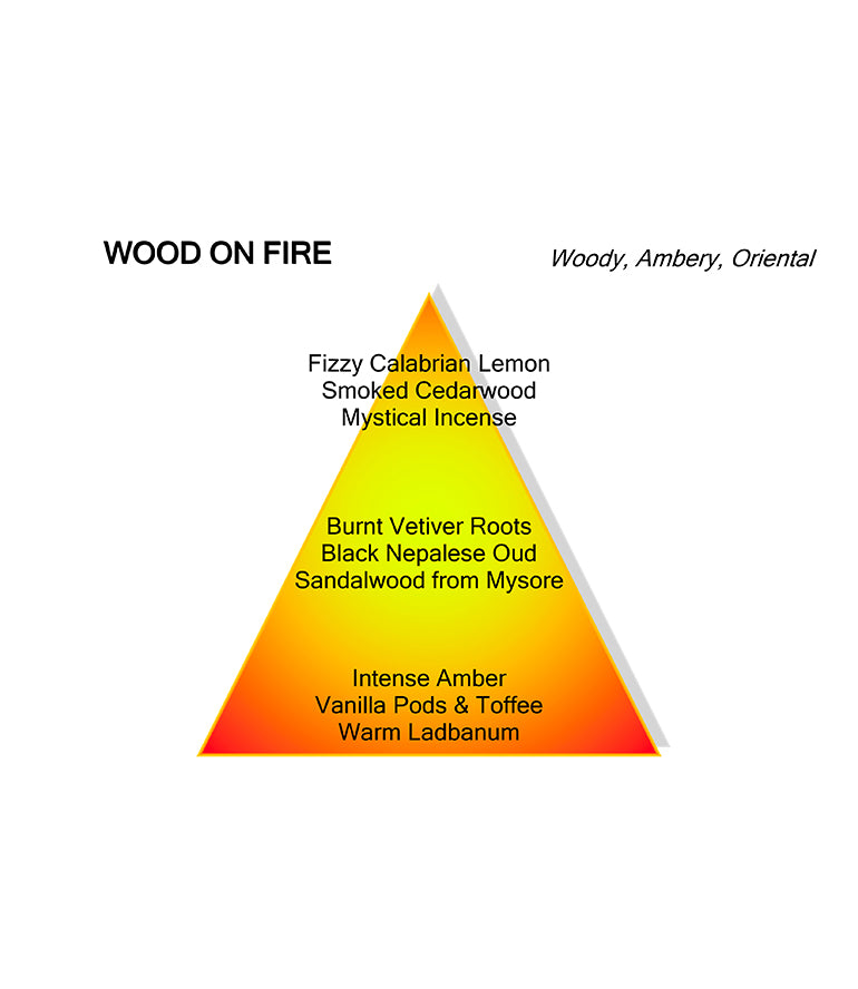 WOOD ON FIRE