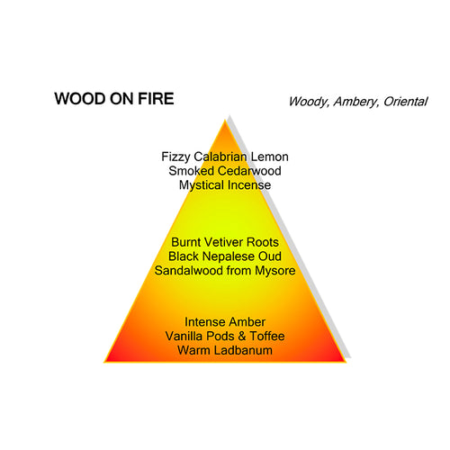 WOOD ON FIRE