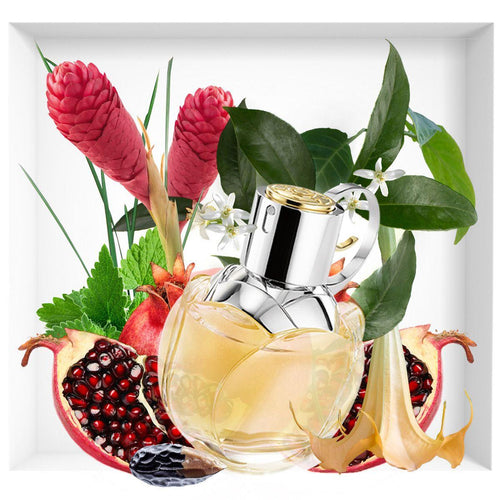 ecomposer-