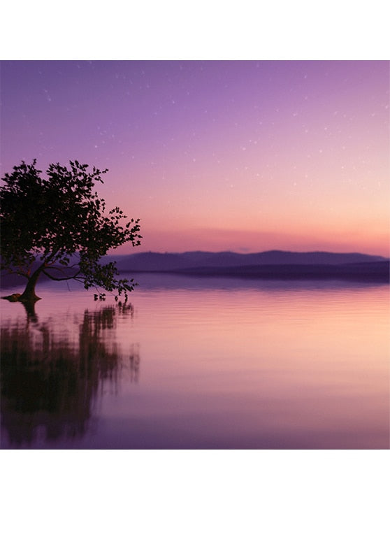ecomposer-