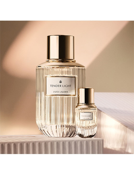 TENDER LIGHT – Exclusive Lines