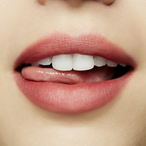 ecomposer-shade-brickthrough