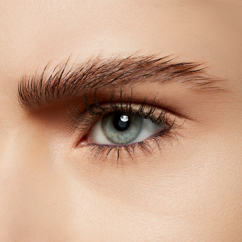 ecomposer-shade-best-of-me