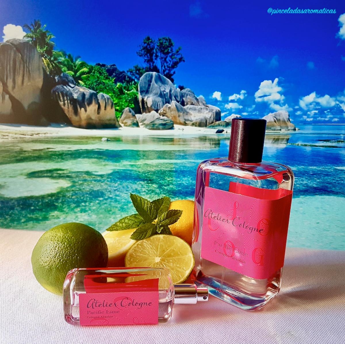 PACIFIC LIME