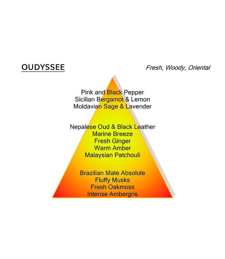 OUDYSSEE