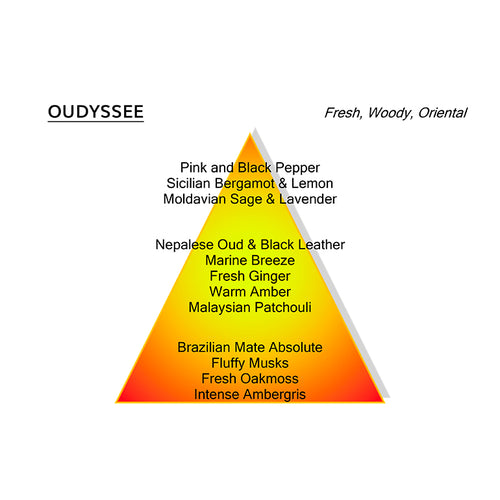 OUDYSSEE