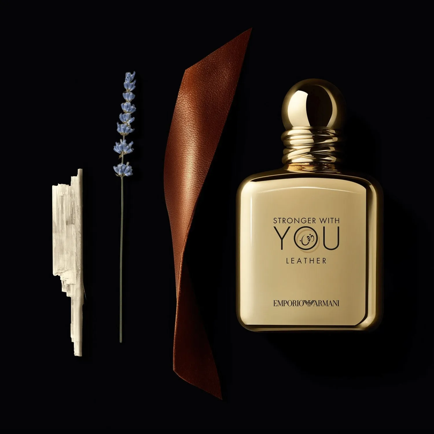 Emporio Armani Stronger With You – Detailed Review In 2023