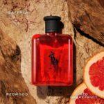 POLO RED EDT 1