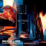 sauvage parfum